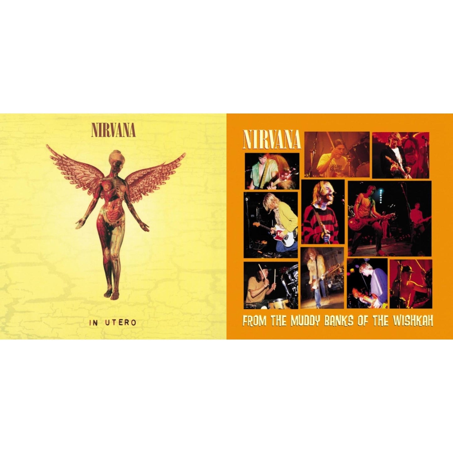 Nirvana - In Utero (180G/33-1/3 RPM) & From The Muddy Banks Of The Wishkah - LP Vinyl Bundle