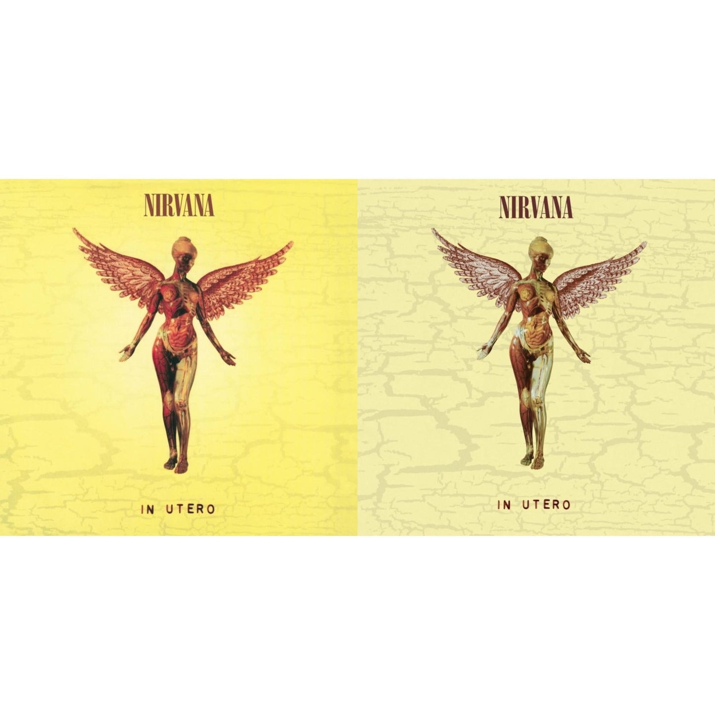 Nirvana - In Utero (30Th Anniversary) (LP/10 Inch) & In Utero (180G/33-1/3 RPM)