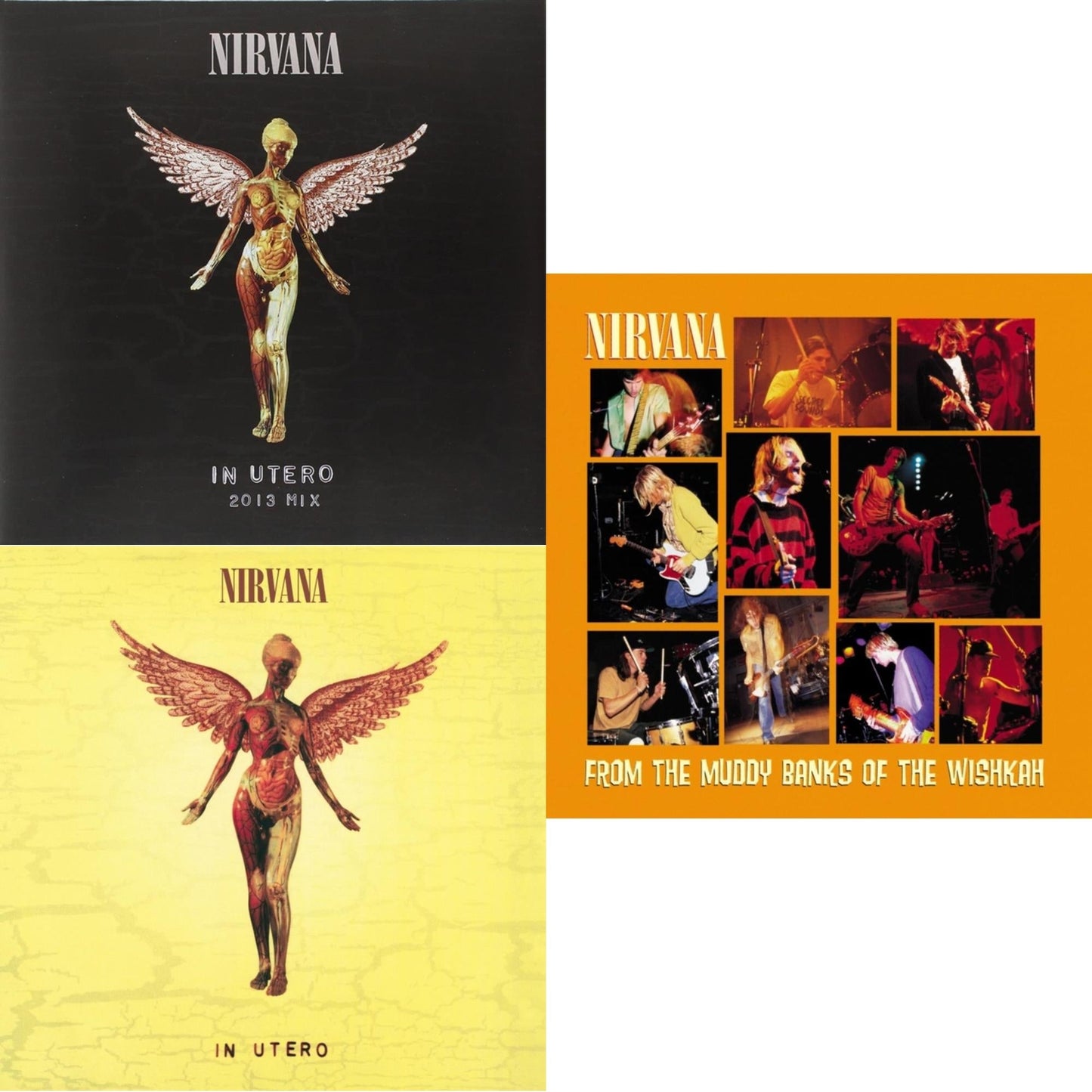 Nirvana - In Utero: 2013 Mix (2LP) & In Utero (180G/33-1/3 RPM) & From The Muddy Banks Of The Wishkah