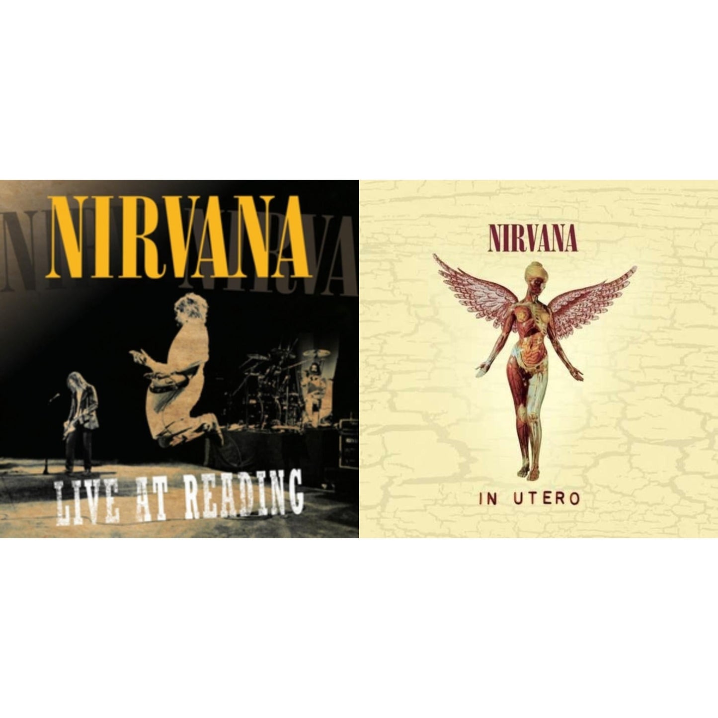 Nirvana - Live At Reading & In Utero - CD Bundle