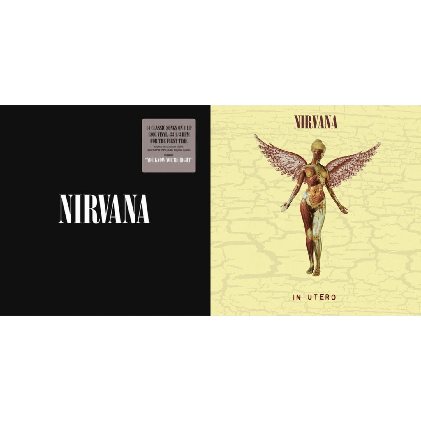 Nirvana - In Utero (30Th Anniversary) (LP/10 Inch) & Nirvana (150G/Dl Code)
