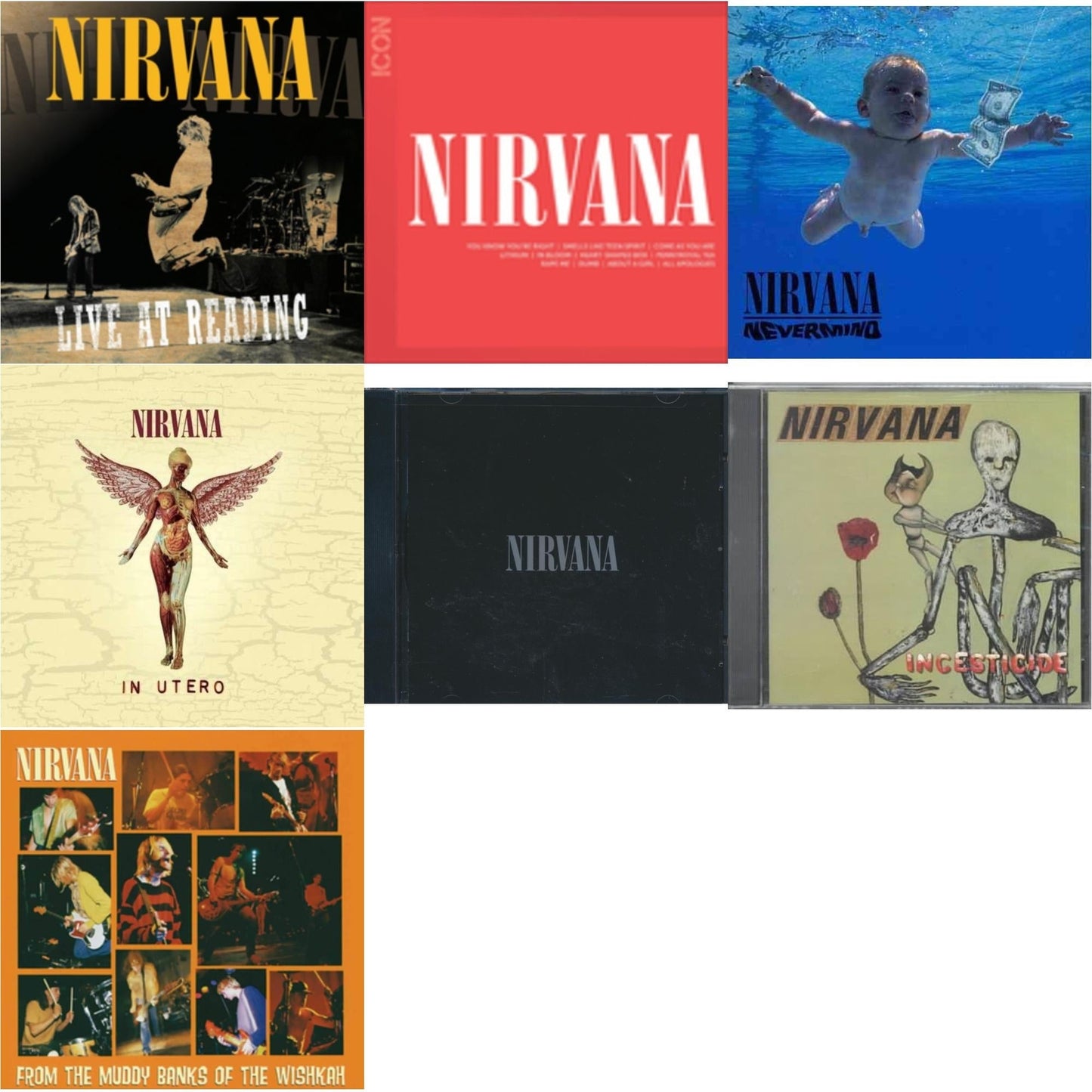 Nirvana - Live At Reading & Icon & Nevermind & In Utero & Nirvana & Incesticide & From Muddy Banks Of Wishkah - CD Bundle