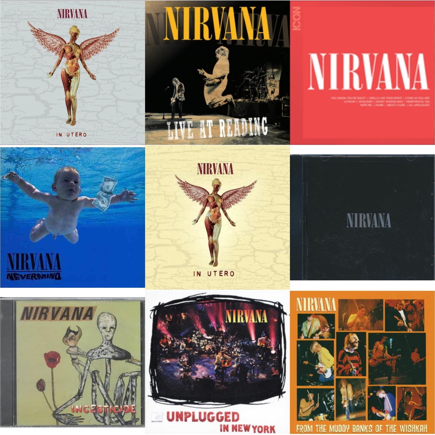 Nirvana - In Utero (30Th Anniversary) (2CD) & Live At Reading & Icon & Nevermind & In Utero & Nirvana & Incesticide & Unplugged In N.Y. & From Muddy Banks Of Wishkah