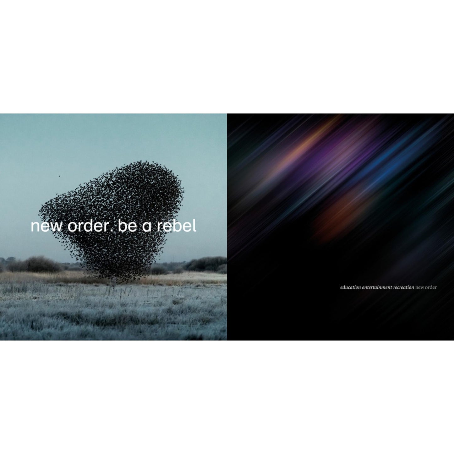 New Order - Education Entertainment Recreation (Live) & Be A Rebel - LP Vinyl Bundle