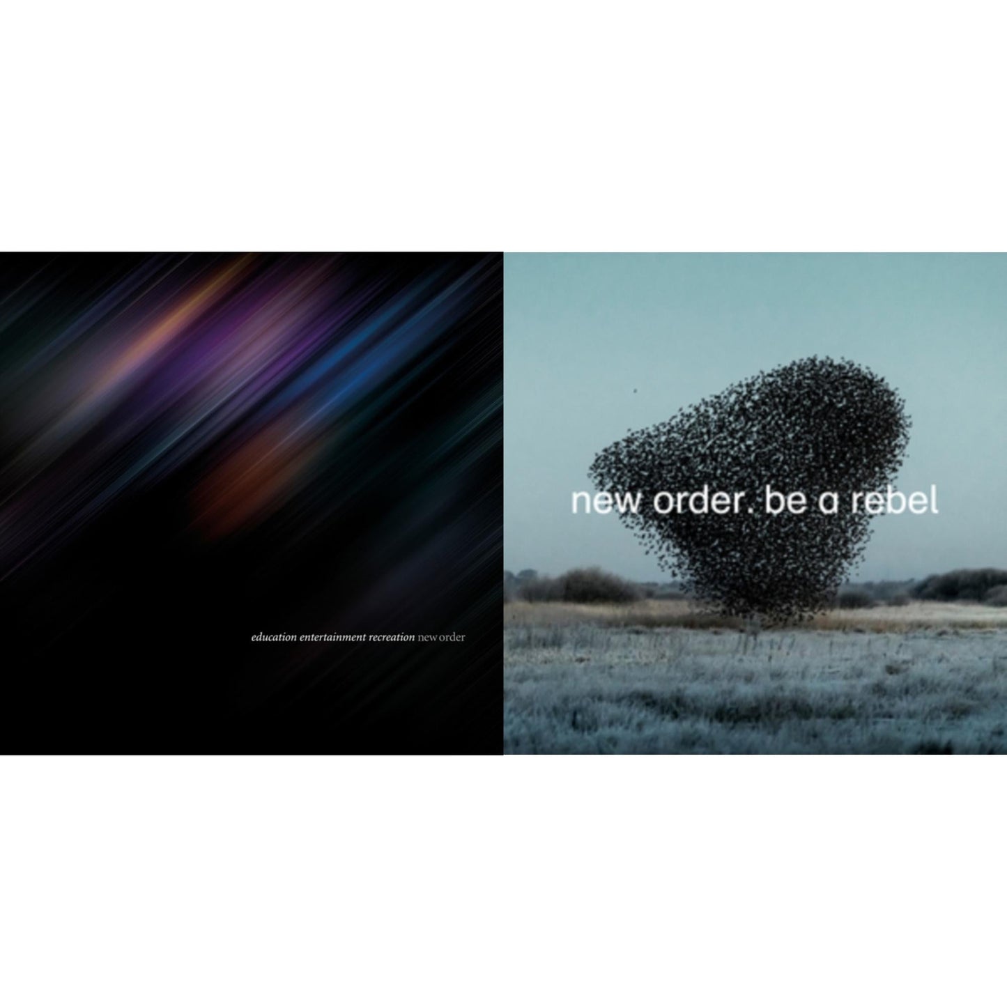 New Order - Education Entertainment Recreation (Live) & Be A Rebel Ep - LP Vinyl Bundle