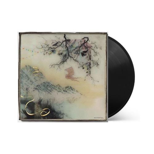 Novo Amor - Birthplace Vinyl Record