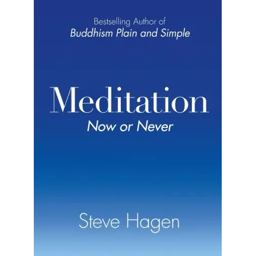Meditation Now or Never