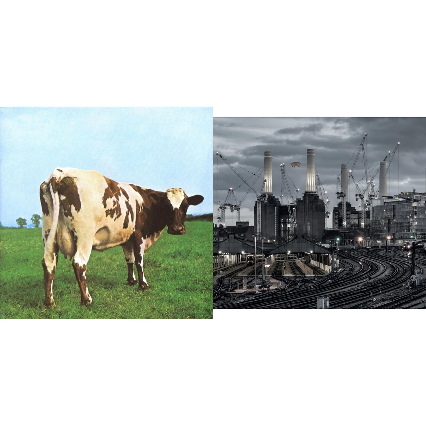 Pink Floyd - Animals (2018 Remix) (180G/LP/CD/Blu-Ray/DVD) & Atom Heart Mother (180G/Gatefold/2016 Version)