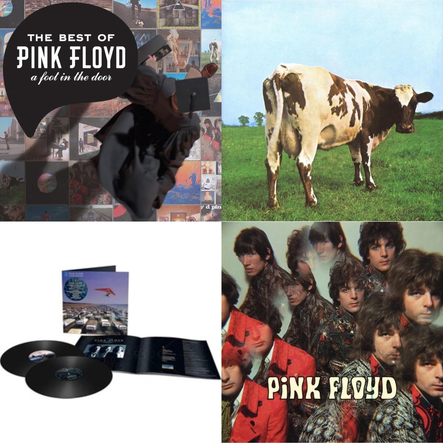 Pink Floyd - Momentary Lapse Of Reason (Remixed & Updated) (2LP) & Piper At The Gates Of Dawn (Mono Version) & Atom Heart Mother (180G/Gatefold/2016 Version) & Best Of Pink Floyd: A Foot In Door (2LP/180G Vinyl)
