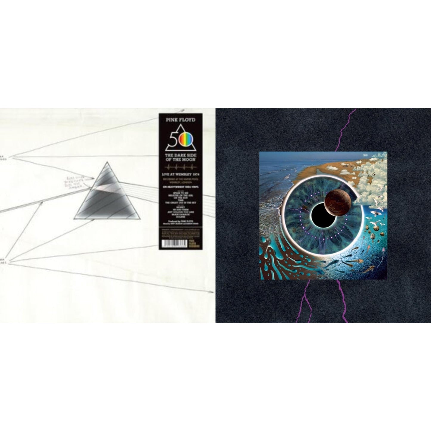 Pink Floyd - Dark Side Of The Moon: Live At Wembley Empire Pool, London, 1974 (180G) & Pulse (180G/4LP/52 Pp Book)