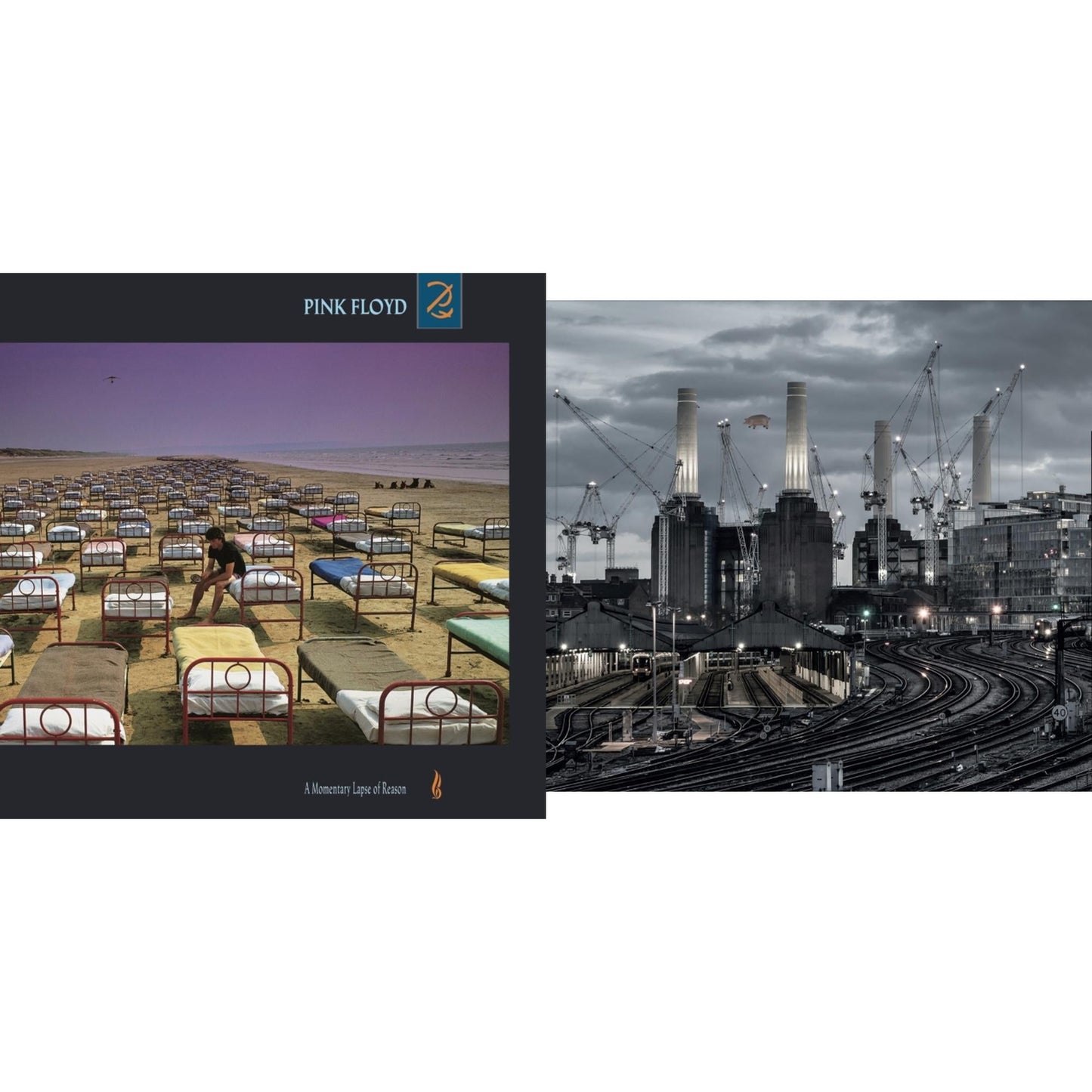 Pink Floyd - Animals (2018 Remix) (180G/LP/CD/Blu-Ray/DVD) & Momentary Lapse Of Reason (180G/Gatefold) (2016 Version)