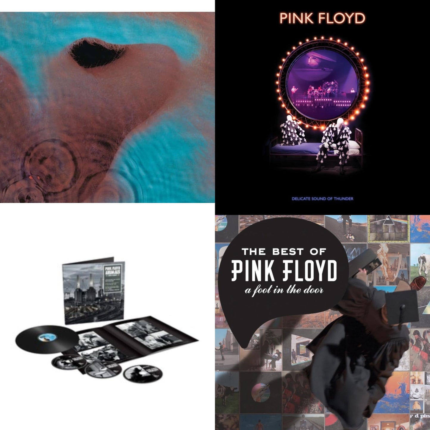 Pink Floyd - Animals (2018 Remix) (LP/CD/DVD/Blu-Ray/180G) & Delicate Sound Of Thunder (3LP) & Meddle (180G/Gatefold/2016 Version) & Best Of Pink Floyd: A Foot In Door (2LP/180G Vinyl)