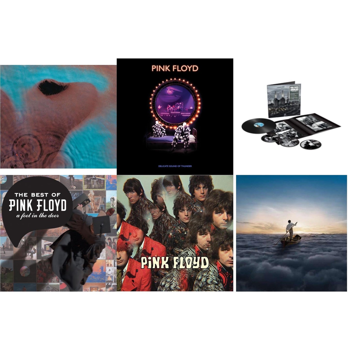 Pink Floyd - Animals (2018 Remix) (LP/CD/DVD/Blu-Ray/180G) & Delicate Sound Of Thunder (3LP) & Endless River (2LP/180G) & Piper At The Gates Of Dawn (180G/2016 Version) & Meddle (180G/Gatefold/2016 Version) & Best Of Pink Floyd: A Foot In Door