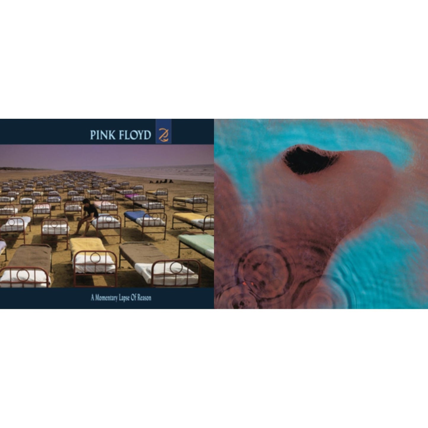 Pink Floyd - Meddle (180G/Gatefold/2016 Version) & Momentary Lapse Of Reason (180G/Gatefold) (2016 Version) - LP Vinyl Bundle