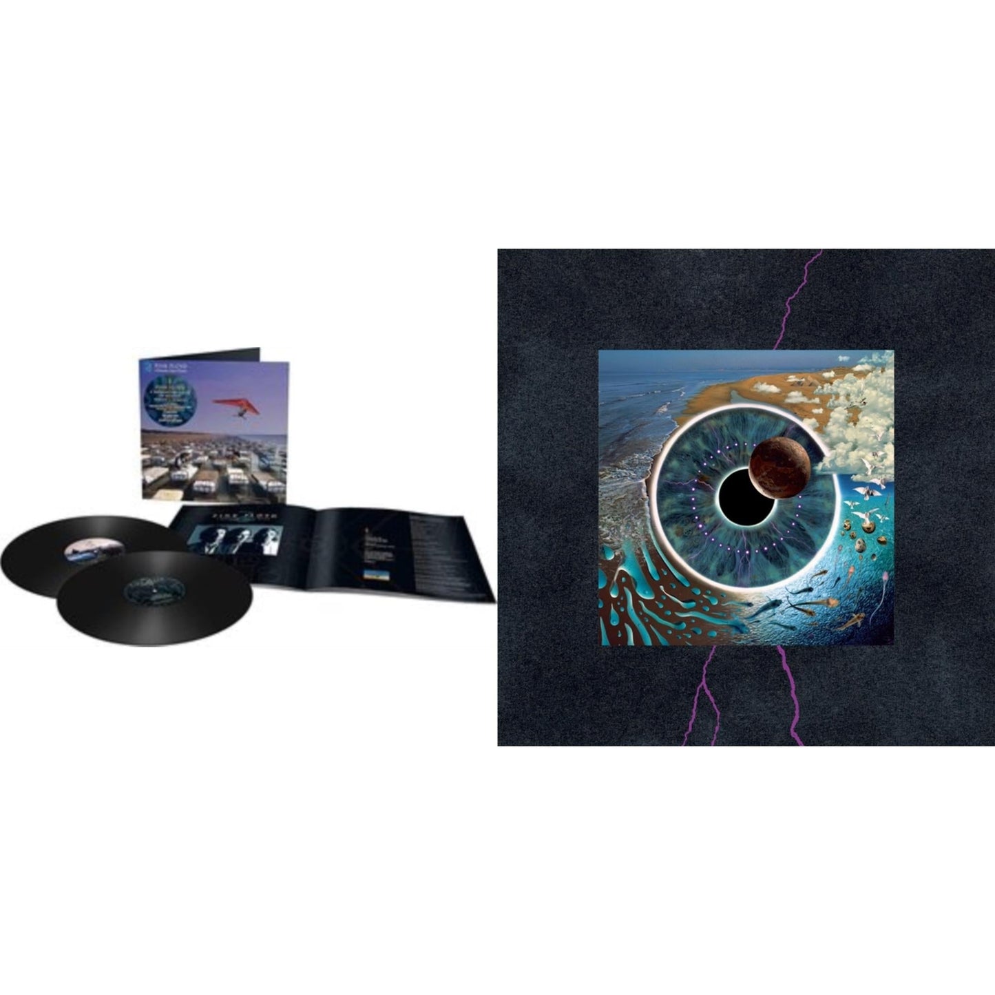 Pink Floyd - Momentary Lapse Of Reason (Remixed & Updated) (2LP) & Pulse (180G/4LP/52 Pp Book)
