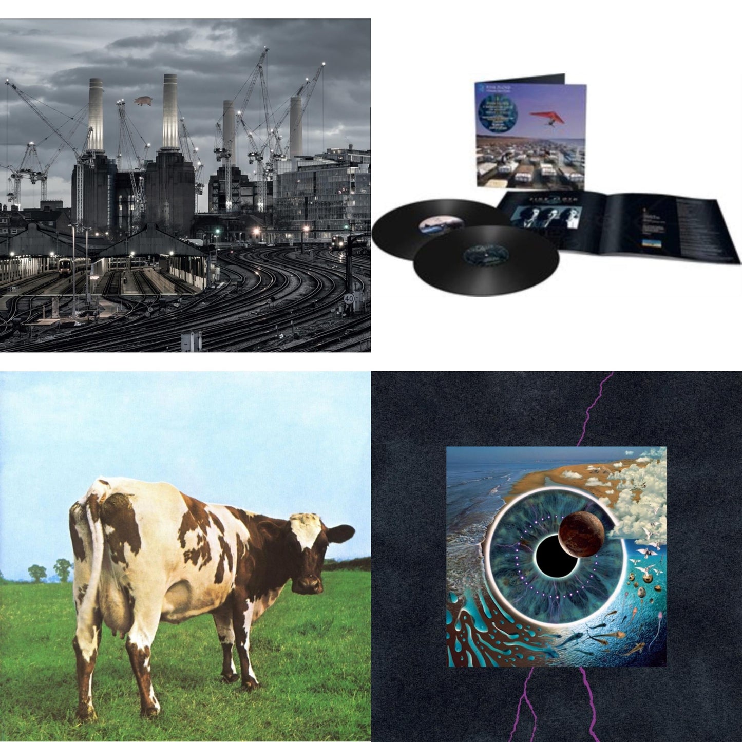 Pink Floyd - Animals (2018 Remix) (180G/LP/CD/Blu-Ray/DVD) & Momentary Lapse Of Reason (Remixed & Updated) (2LP) & Atom Heart Mother (180G/Gatefold/2016 Version) & Pulse (180G/4LP/52 Pp Book)