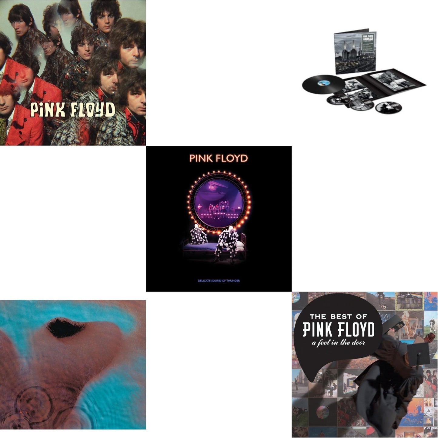 Pink Floyd - Animals (2018 Remix) (LP/CD/DVD/Blu-Ray/180G) & Delicate Sound Of Thunder (3LP) & Piper At The Gates Of Dawn (Mono Version) & Meddle (180G/Gatefold/2016 Version) & Best Of Pink Floyd: A Foot In Door (2LP/180G Vinyl)