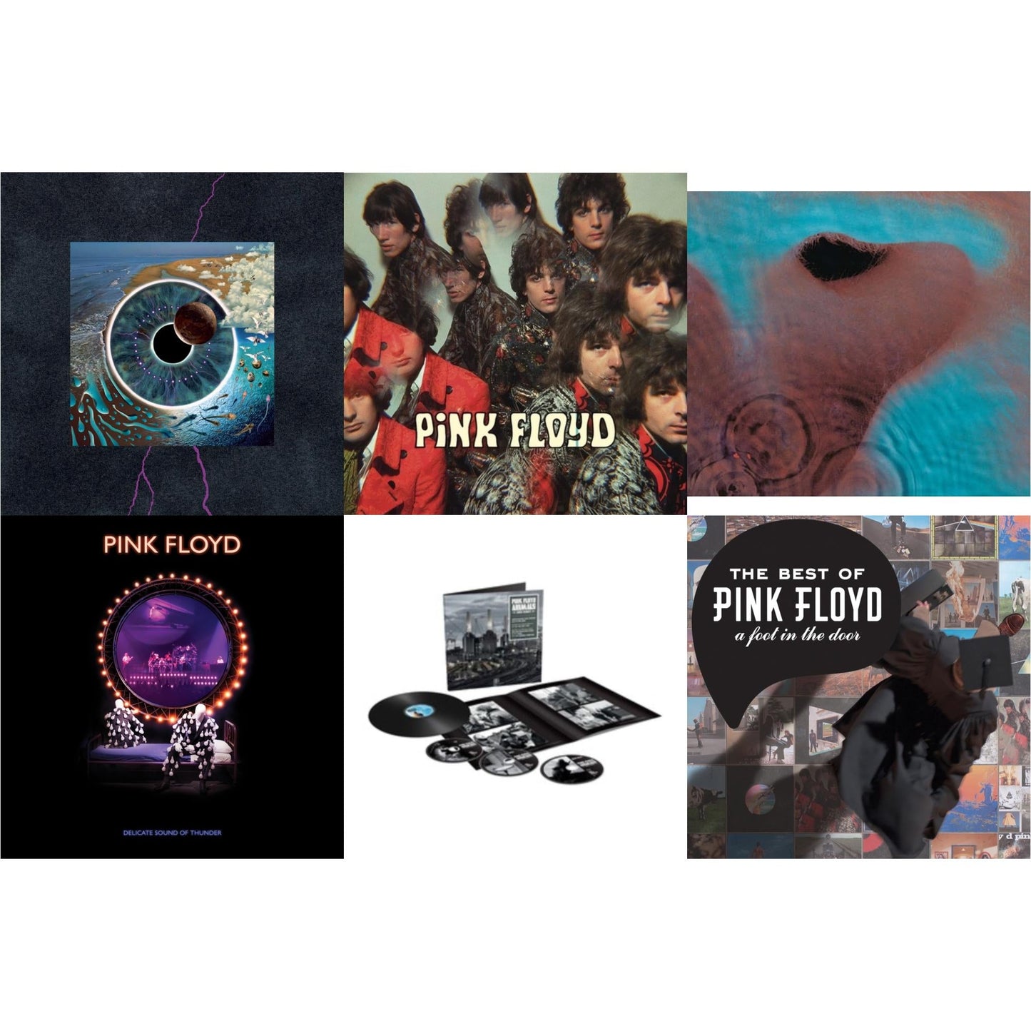 Pink Floyd - Animals (2018 Remix) (LP/CD/DVD/Blu-Ray/180G) & Delicate Sound Of Thunder (3LP) & Piper At The Gates Of Dawn (Mono Version) & Meddle (180G/Gatefold/2016 Version) & Pulse (180G/4LP/52 Pp Book) & Best Of Pink Floyd: A Foot In Door