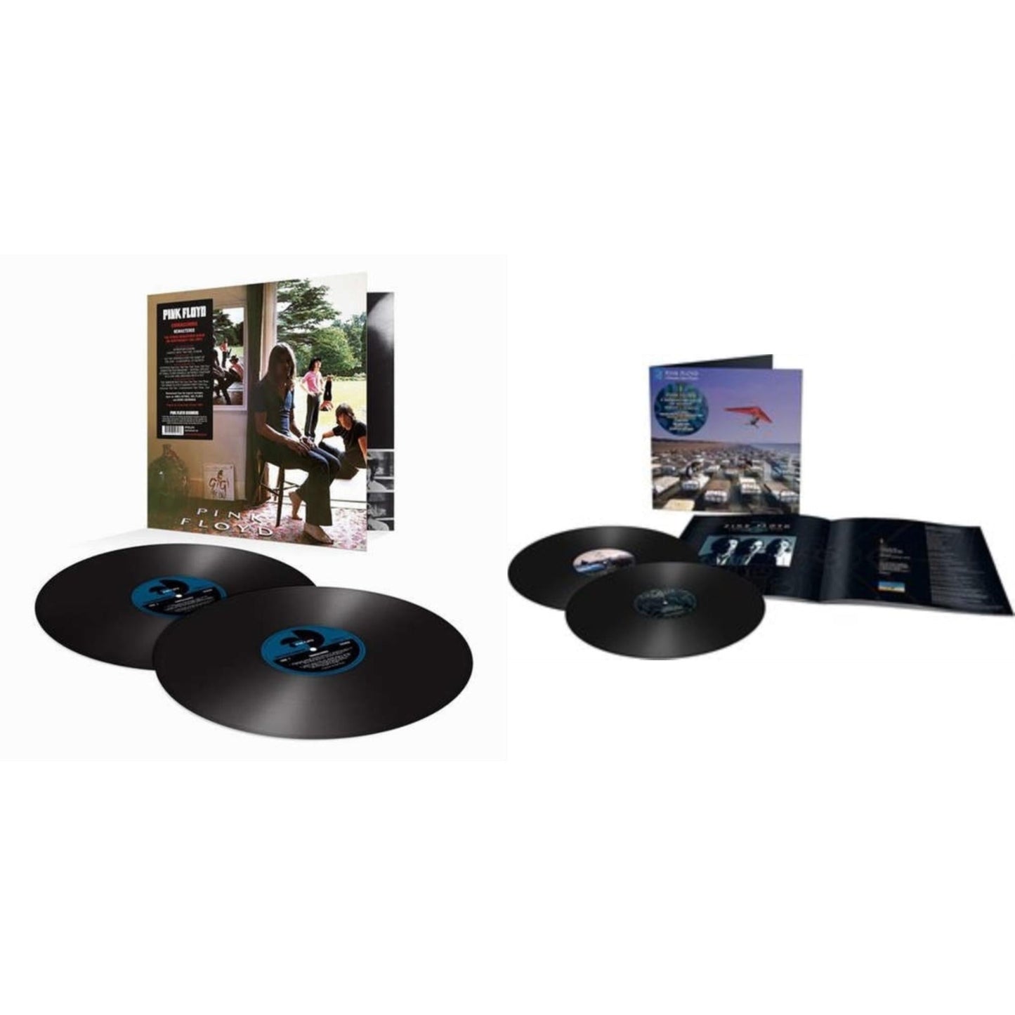 Pink Floyd - Momentary Lapse Of Reason (Remixed & Updated) (2LP) & Ummagumma (2LP/180G/2016 Version/Gatefold)