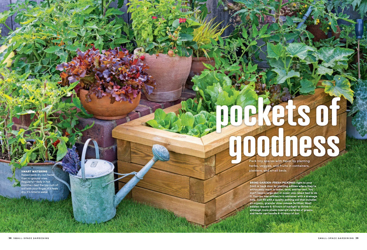 Small Space Gardening - Make The Most Of Every Square Inch, Vertical Hanging Planters, Vines, Climbers, Nooks, Seating Area, Window Boxes, Potting Lessons, Watering, Grow Herbs, Veggies, Fruits & More