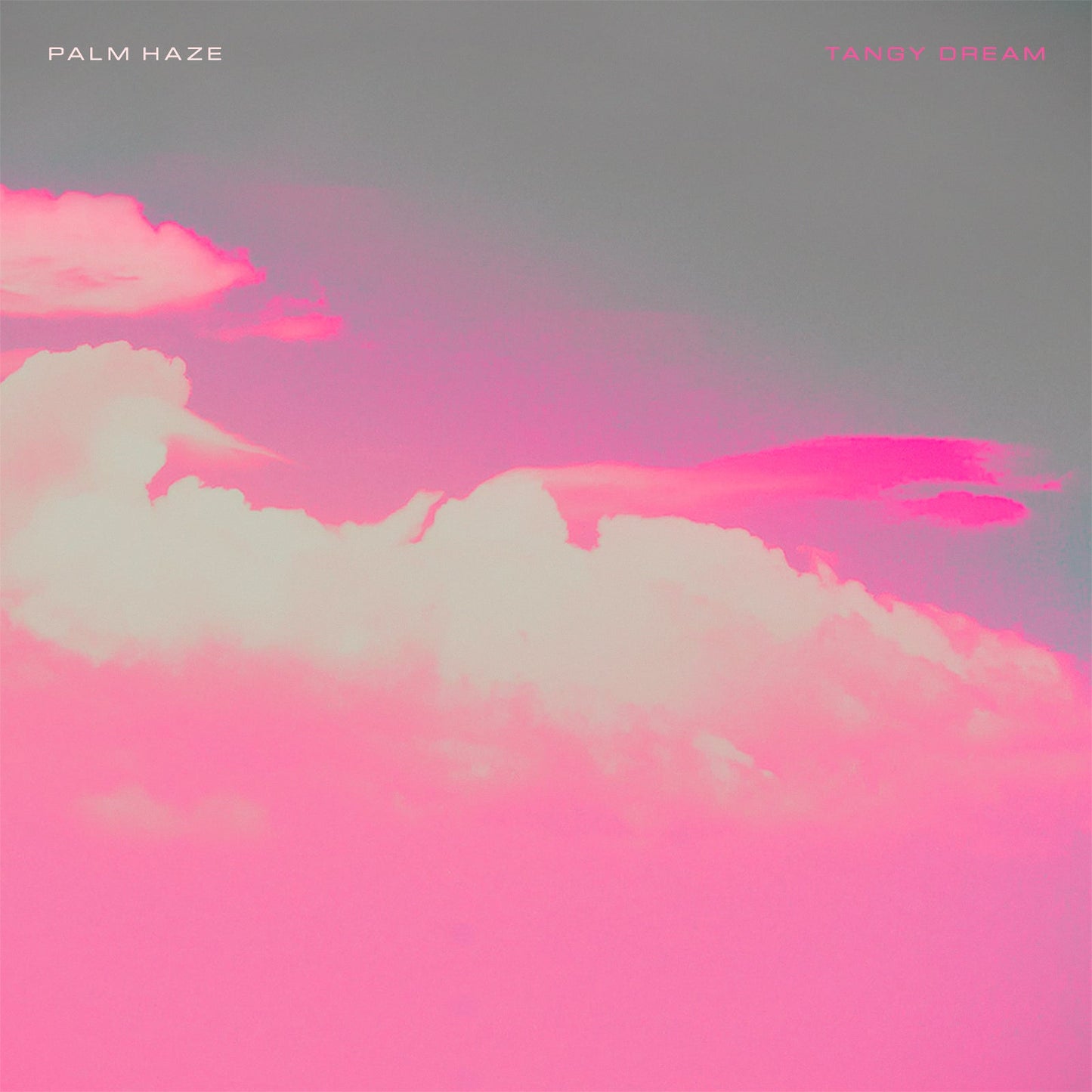 Palm Haze - Tangy Dream Cassette Tape