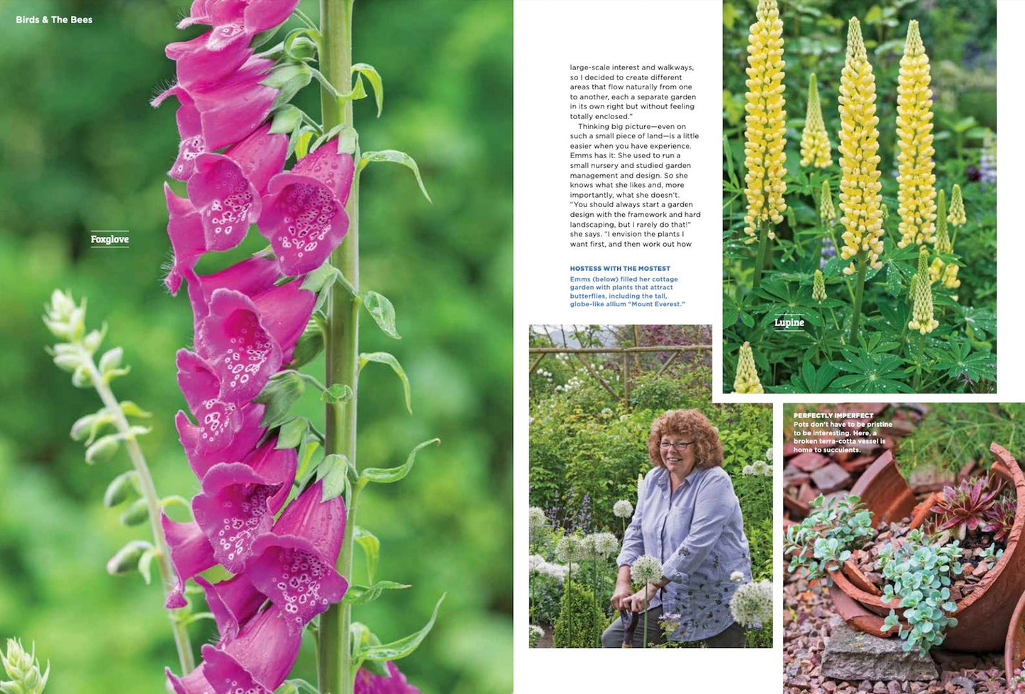 Perennials - Create a Gorgeous Garden With Our Perfect Picks: Roses, Peonies, Hydrangeas & More! 20 Foolproof Planting Tips!