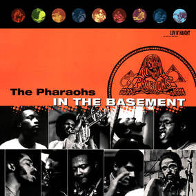 In The Basement (RSD 4/23/2022) Vinyl Record
