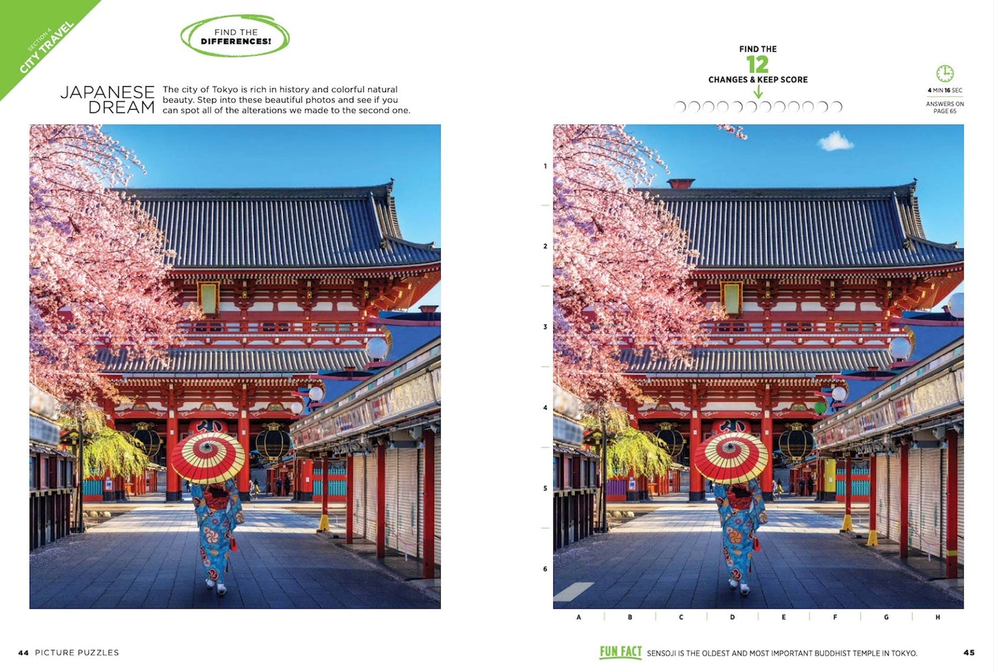 Brain Fun - Picture Puzzle: Spot the Difference! Can You Find All 289 Differences? Five Categories Cute Critters, Sweet Treats, Gorgeous Gardens, Amazing Places, Perfect Pastimes