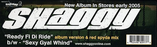 Shaggy – Ready Fi Di Ride 12" Vinyl LP Record