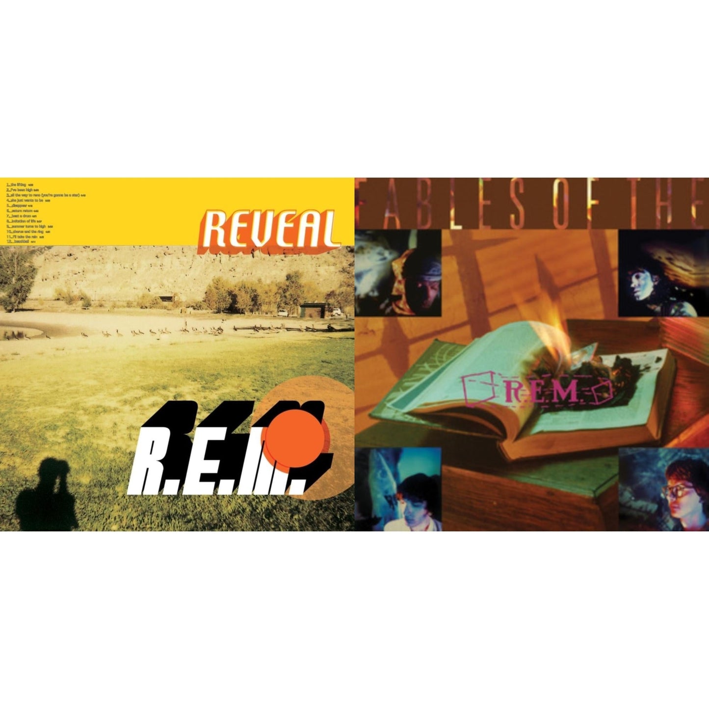 R.E.M. - Fables Of The Reconstruction & Reveal - LP Vinyl Bundle
