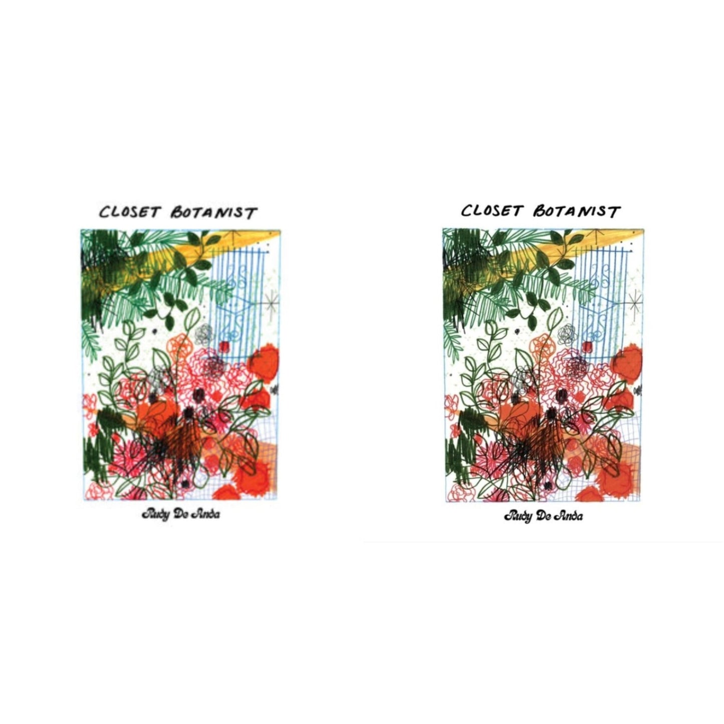 Rudy De Anda - Closet Botanist & Closet Botanist (Transparent Teal LP Vinyl)