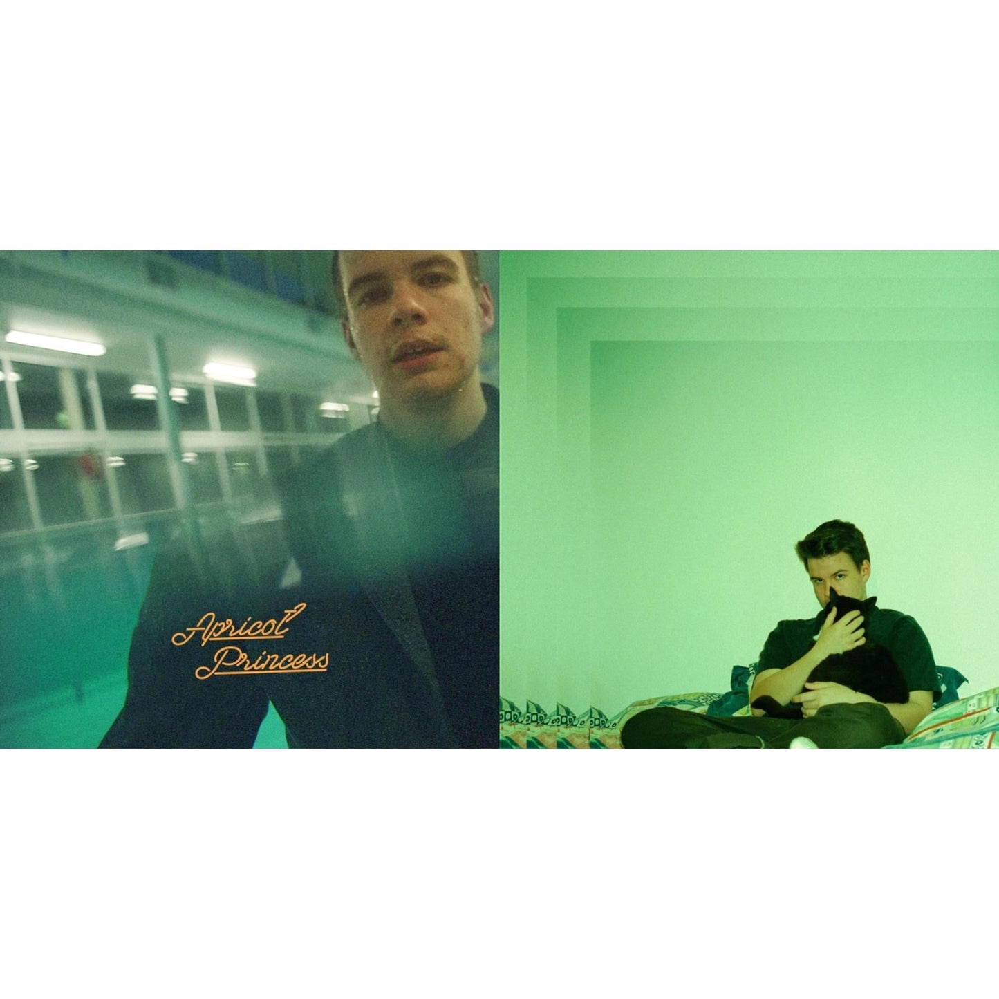 Rex Orange County - Apricot Princess & Bcos U Will Never B Free - LP Vinyl Bundle