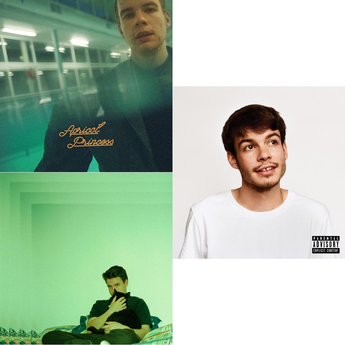 Rex Orange County - Pony (X) (140G/Dl Insert) & Apricot Princess & Bcos U Will Never B Free - LP Vinyl Bundle