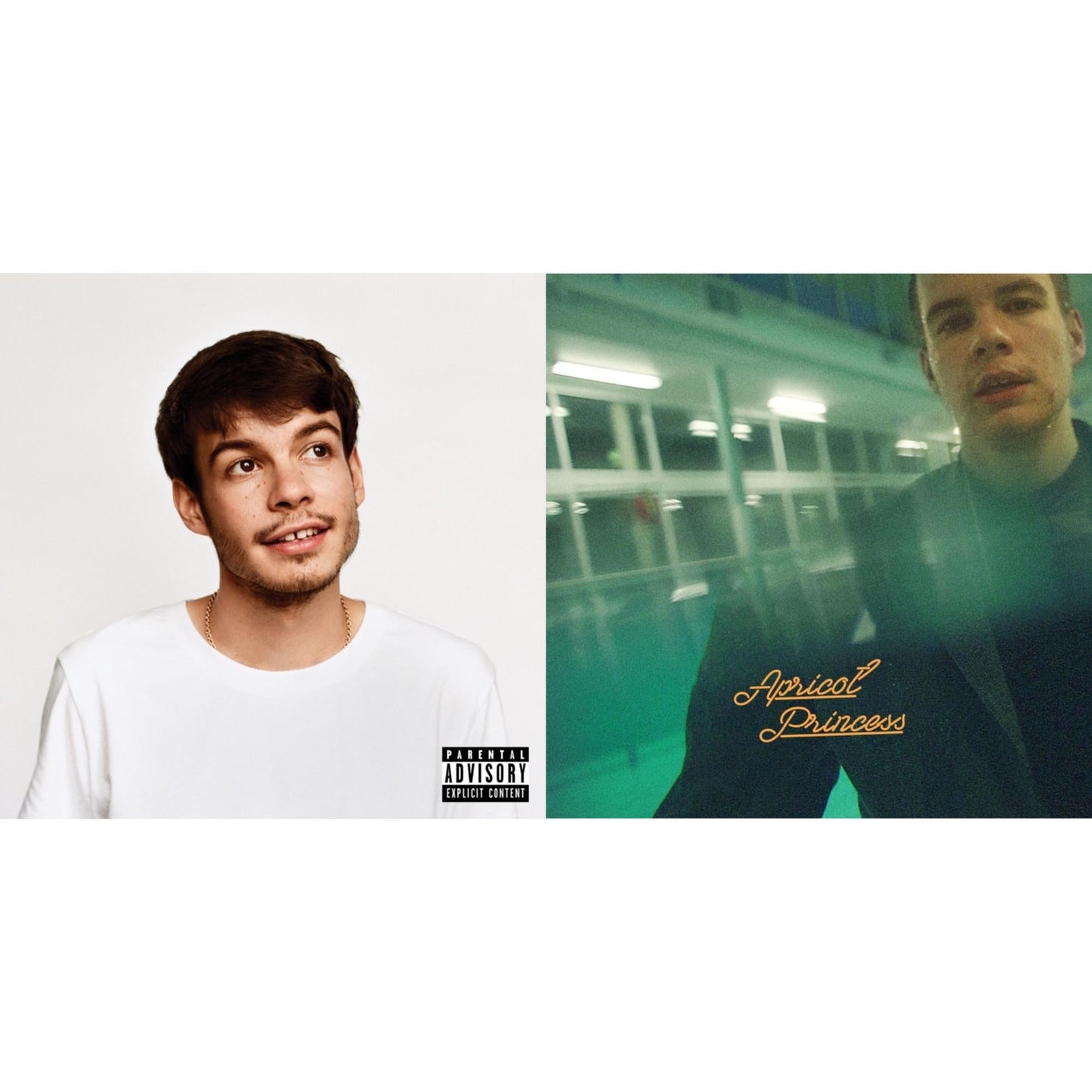 Rex Orange County - Pony (X) (140G/Dl Insert) & Apricot Princess - LP Vinyl Bundle