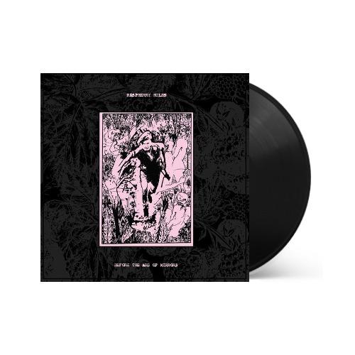 Raspberry Bulbs - Before The Age Of Mirrors Vinyl Record