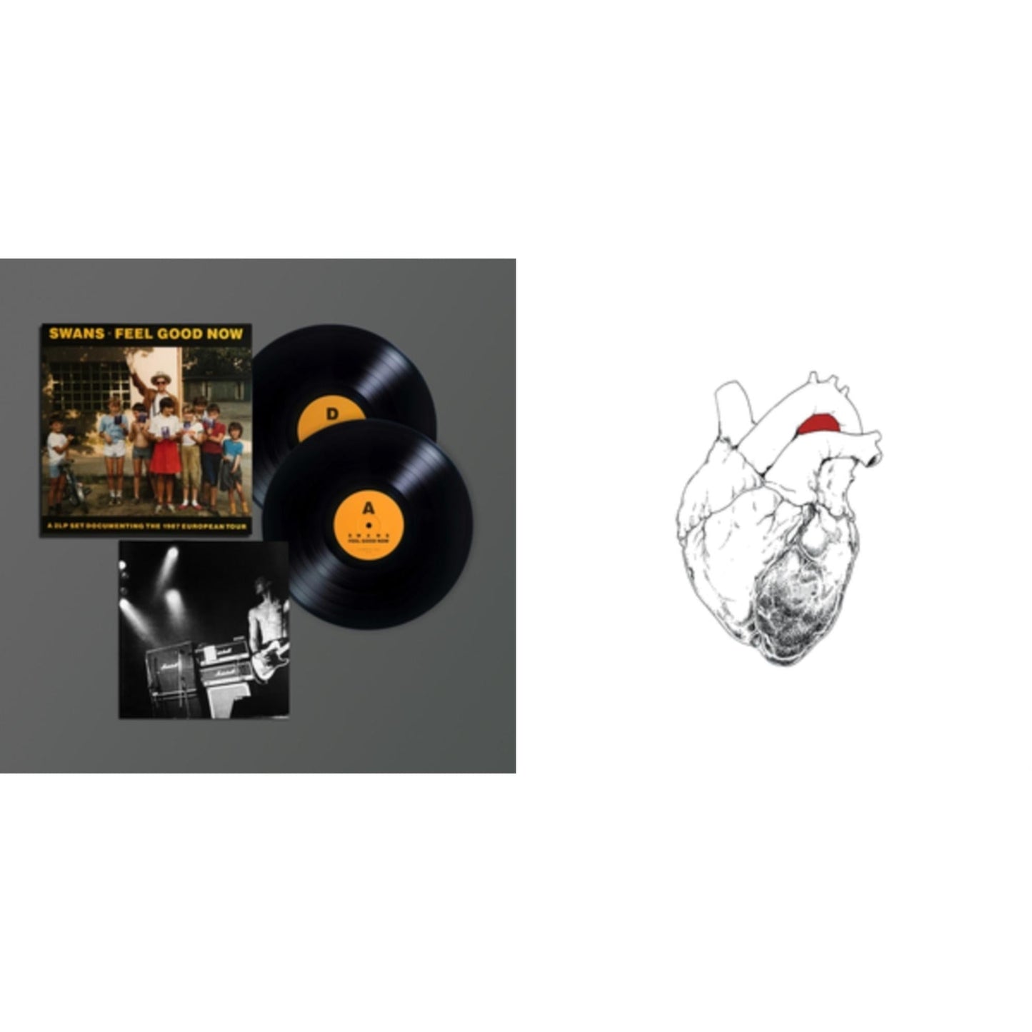 Swans - Feel Good Now - Live & Beggar - LP Vinyl Bundle