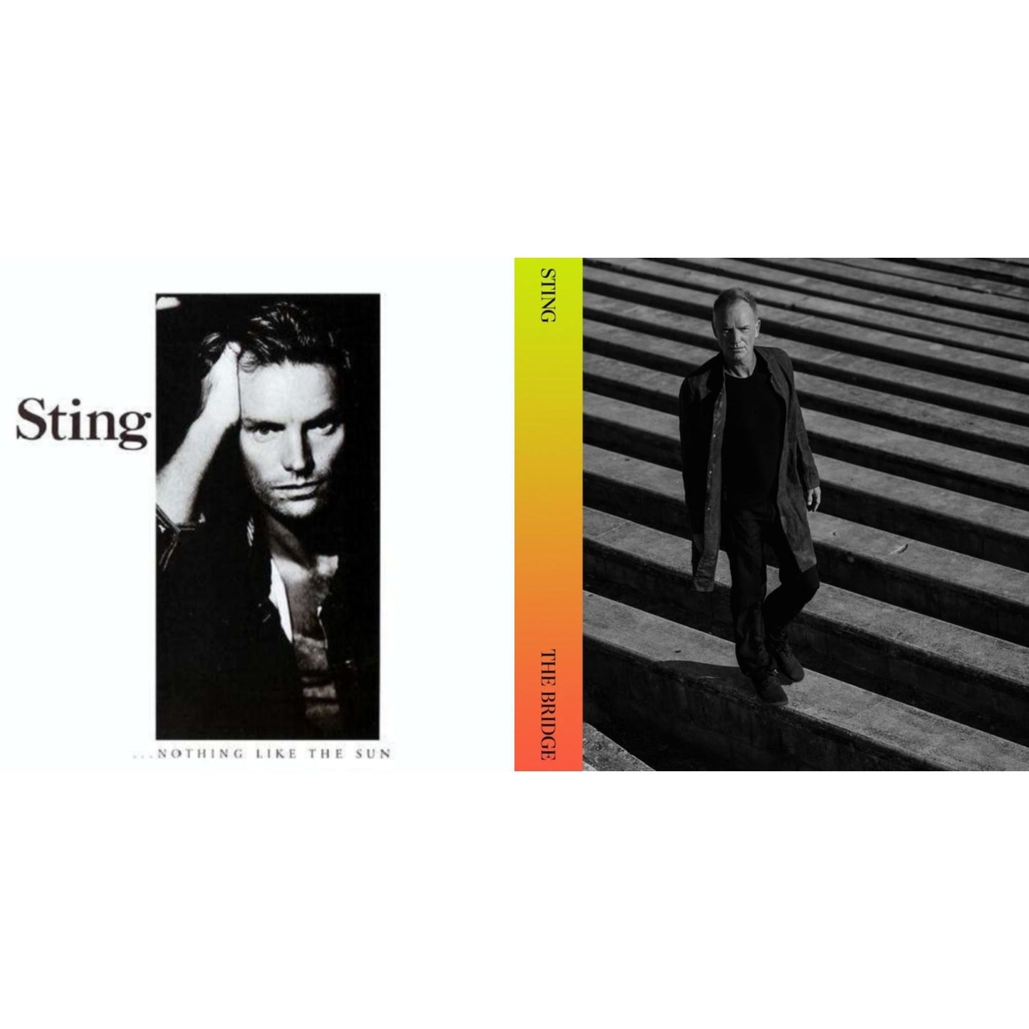 Sting - Nothing Like The Sun & Bridge - LP Vinyl Bundle