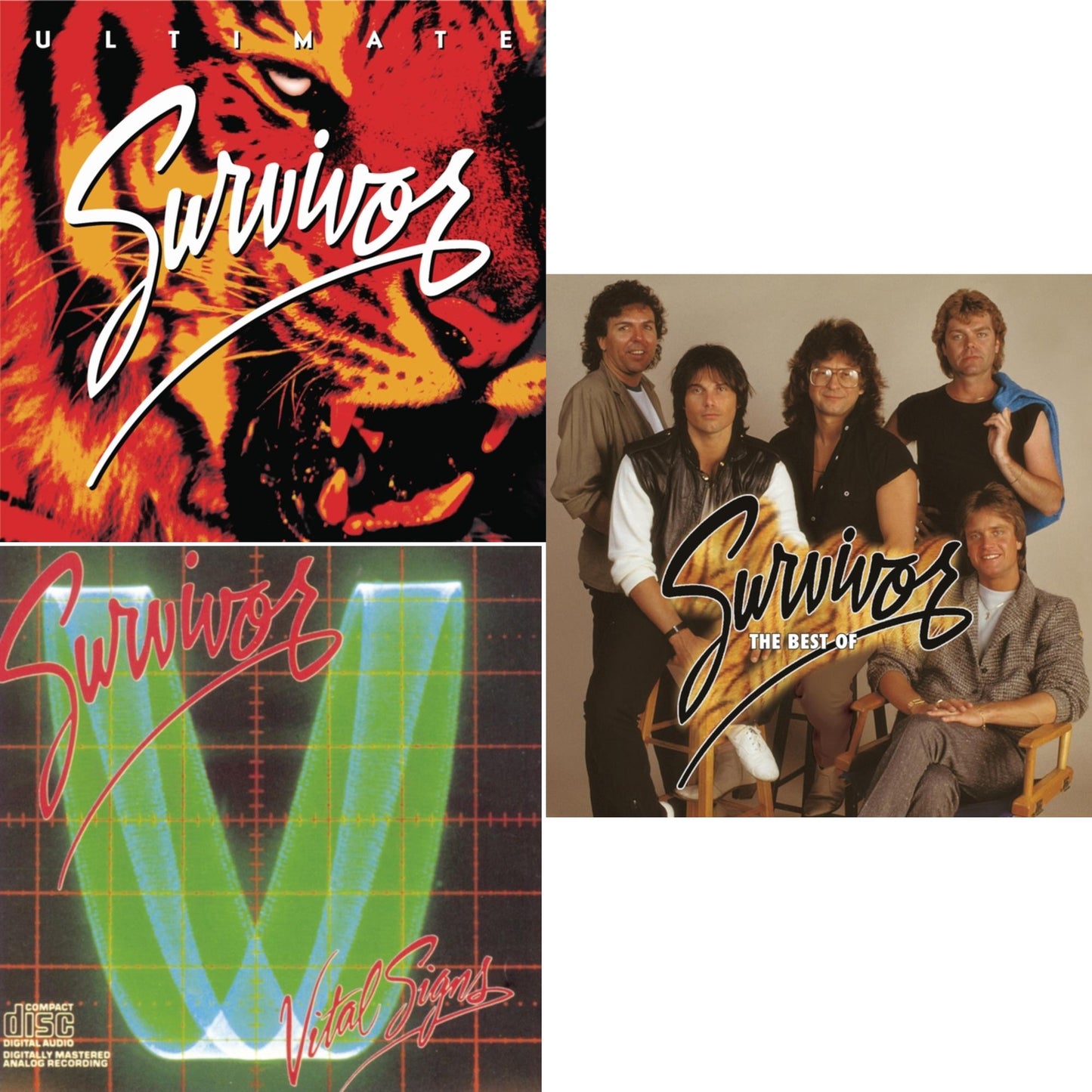 Survivor - Ultimate Survivor & Vital Signs & Best Of Survivor - CD Bundle