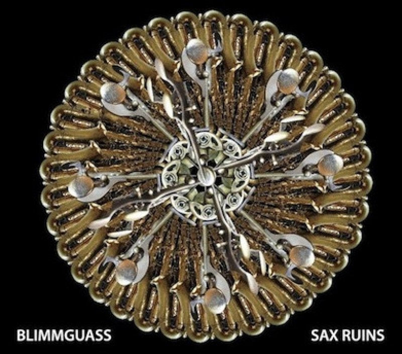 Sax Ruins - Blimmgausse Vinyl LP Record