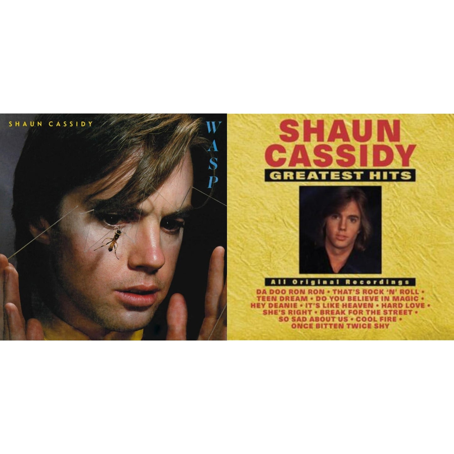 Shaun Cassidy - Greatest Hits & Wasp - LP Vinyl Bundle