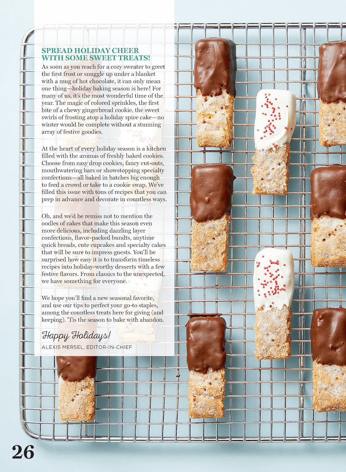 Holiday Cookies & Cakes - Make The Season Merry: 82+ Recipes, Bake Like A Pro, Easy Drop Cookies, Gingerbread, Bundts Cakes, Spice Cake, Christmas Healthy Swaps & Kitchen Tips For Holiday Parties!