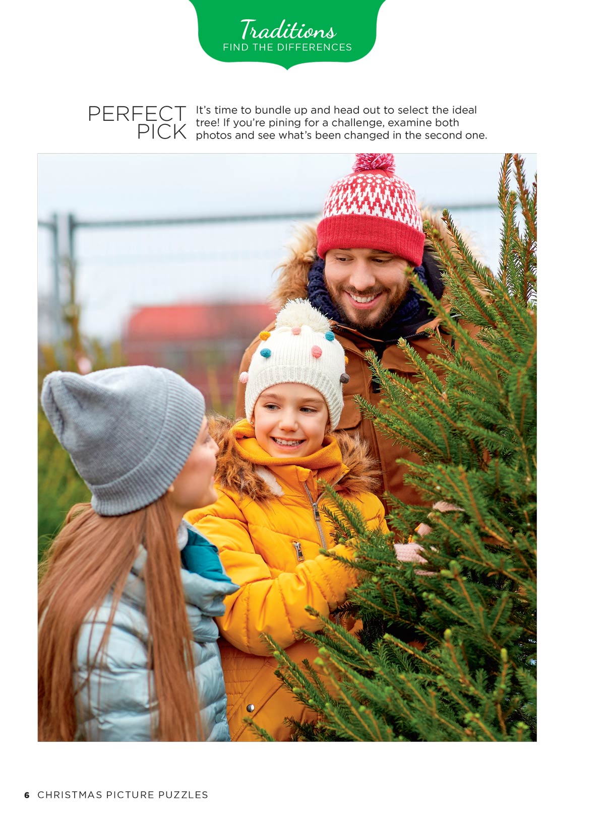 Christmas Picture Puzzle - Spot 286 Differences, 5 Fun Categories, Holiday Traditions, Festive Trees, Winter Wonderlands, Sweet Treats, Favorite Characters, All Skill Levels, Relax, Unwind & Solve!