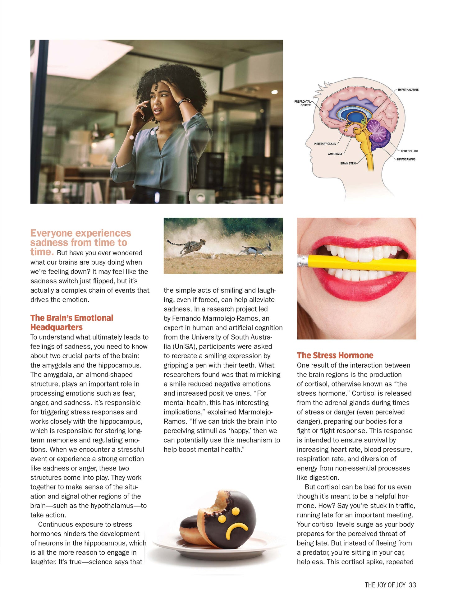 Finding Joy - Expert Toolkit For Holistic Change: Science-Backed Happiness Solutions, Build Habits, Improve Negativity, Diet, Exercise Mental Health, Depression, Mindfulness & Journaling Techniques!