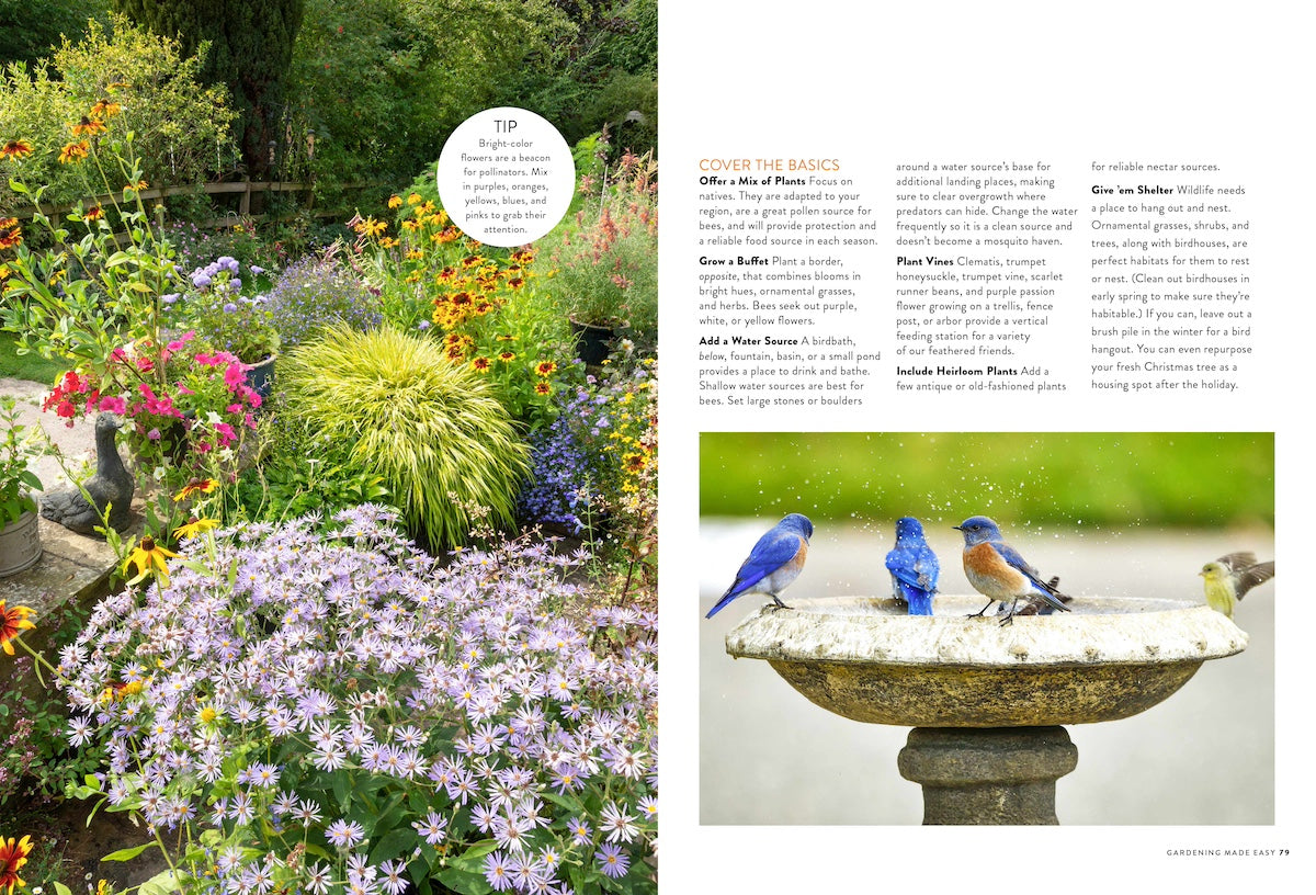 Gardening Made Easy - 125+ Garden Basics, Tips For Planting Flowers, Grow Veggies, Bulbs, Herbs, Trees, Borders, Soil, Containers, Lawn Maintenance, Tools, Watering, Design, Pollinators & Rose Guide!