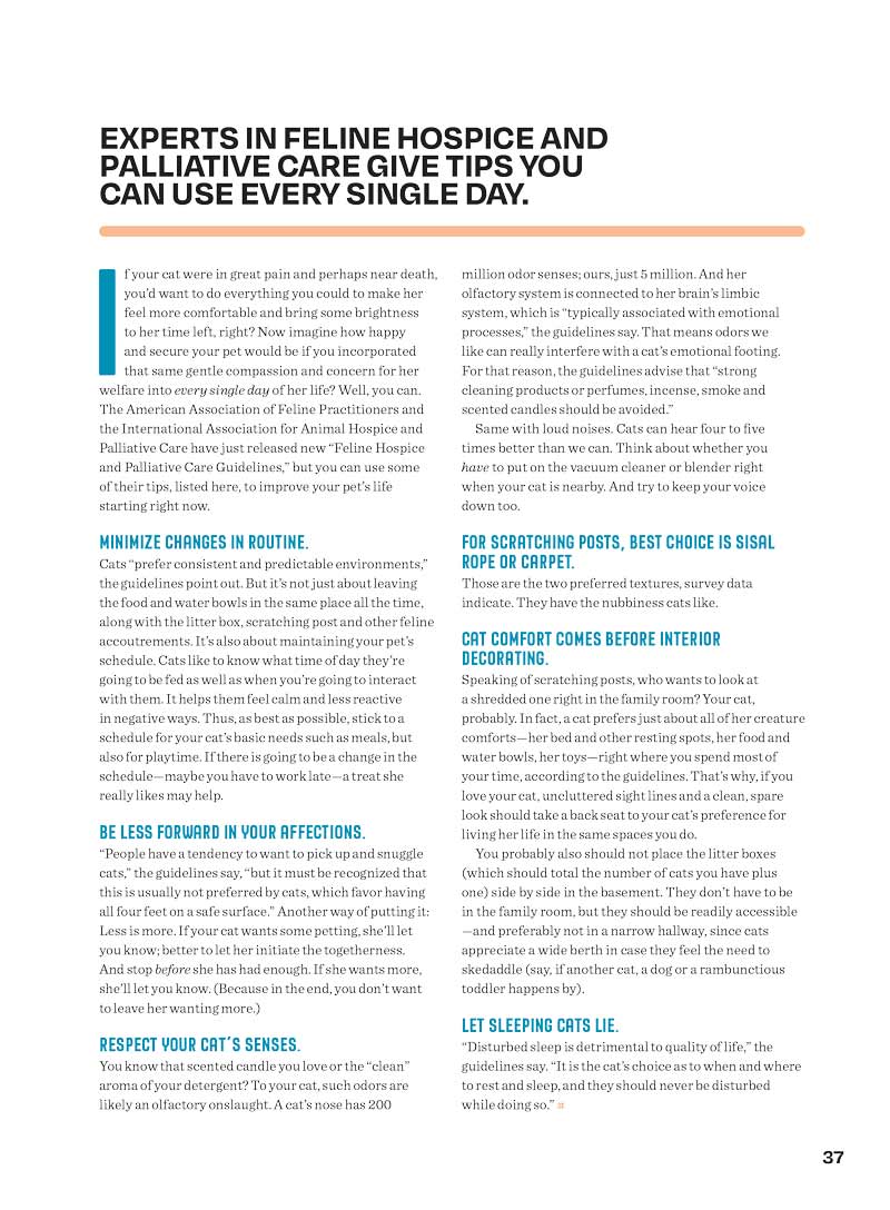 Inside Your Cat's Mind - Reading Cat's Face, Decoding Tails, Whiskers, Blinks, Meow Meaning, How To Play, Sleeping, Catnip, Training, Intelligence Test, Senses & Is Fur Color Linked To Personality?