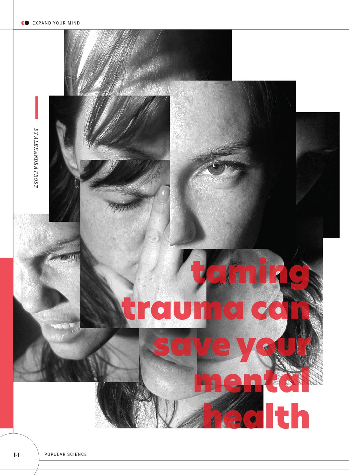 Popular Science - How To Do Everything & Anything: Watch Star Wars In Order, Learn The Language Of Birds, Think Like A Planet, Find Dinosaur Fossils, Become An Astronaut, Escape A Tsunami & More!