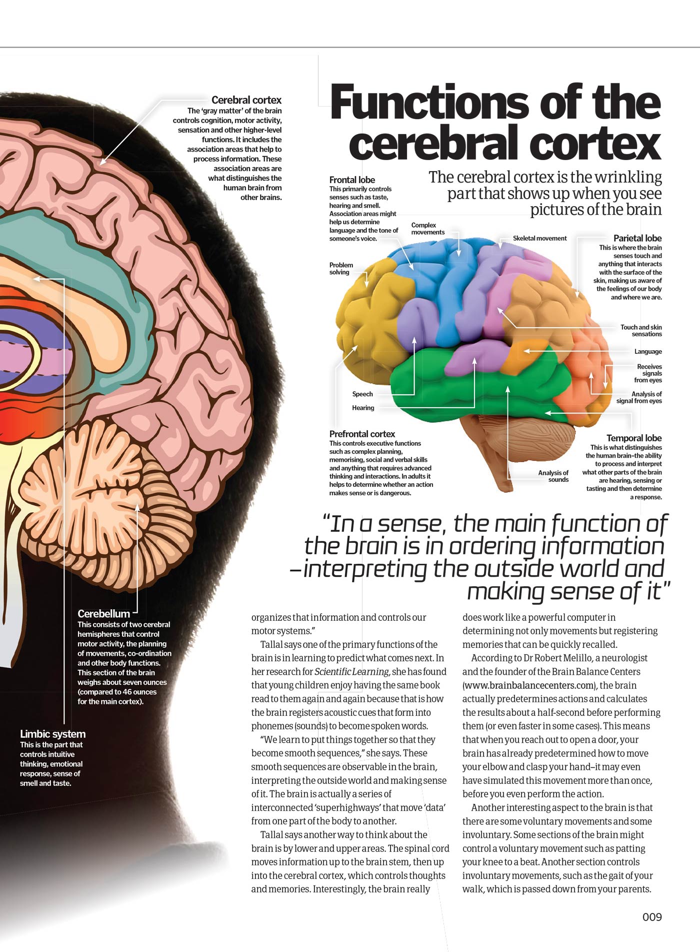 Inside Your Brain - The Most Complex Computer: Consciousness, Cognitive Biases, Psychopaths' Minds, Dreams, Behaviors, Brain Structure, Experiments, Sleep, Memories, The Father Of Neuroscience & More!