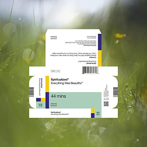 EVERYTHING WAS BEAUTIFUL Vinyl Record