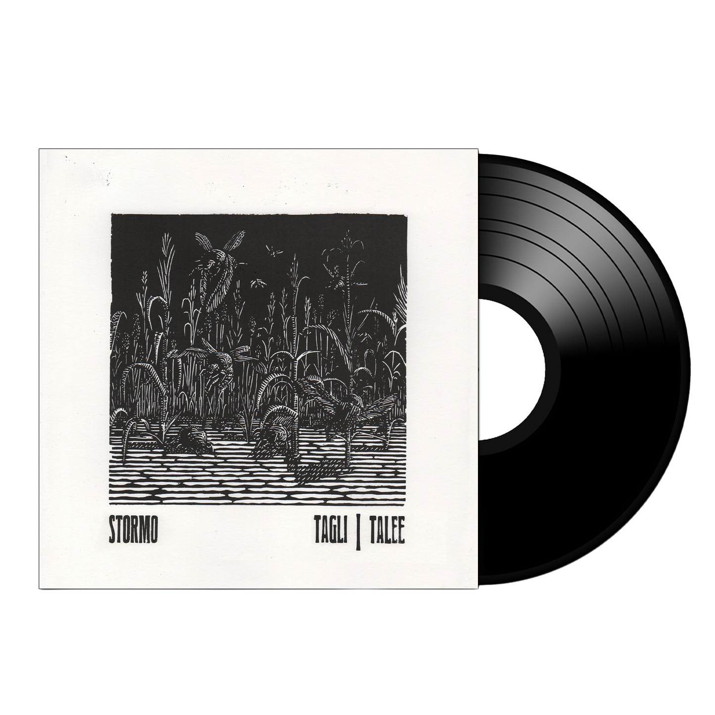 STORM(O) Tagli/Talee on Black Vinyl Record