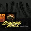 Shadows Fall - Of One Blood (Colored Vinyl, Yellow, Black Marble) Vinyl Record